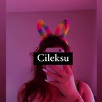 cileksuonlyfans Profile Picture