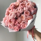 punkie_dsb Profile Picture